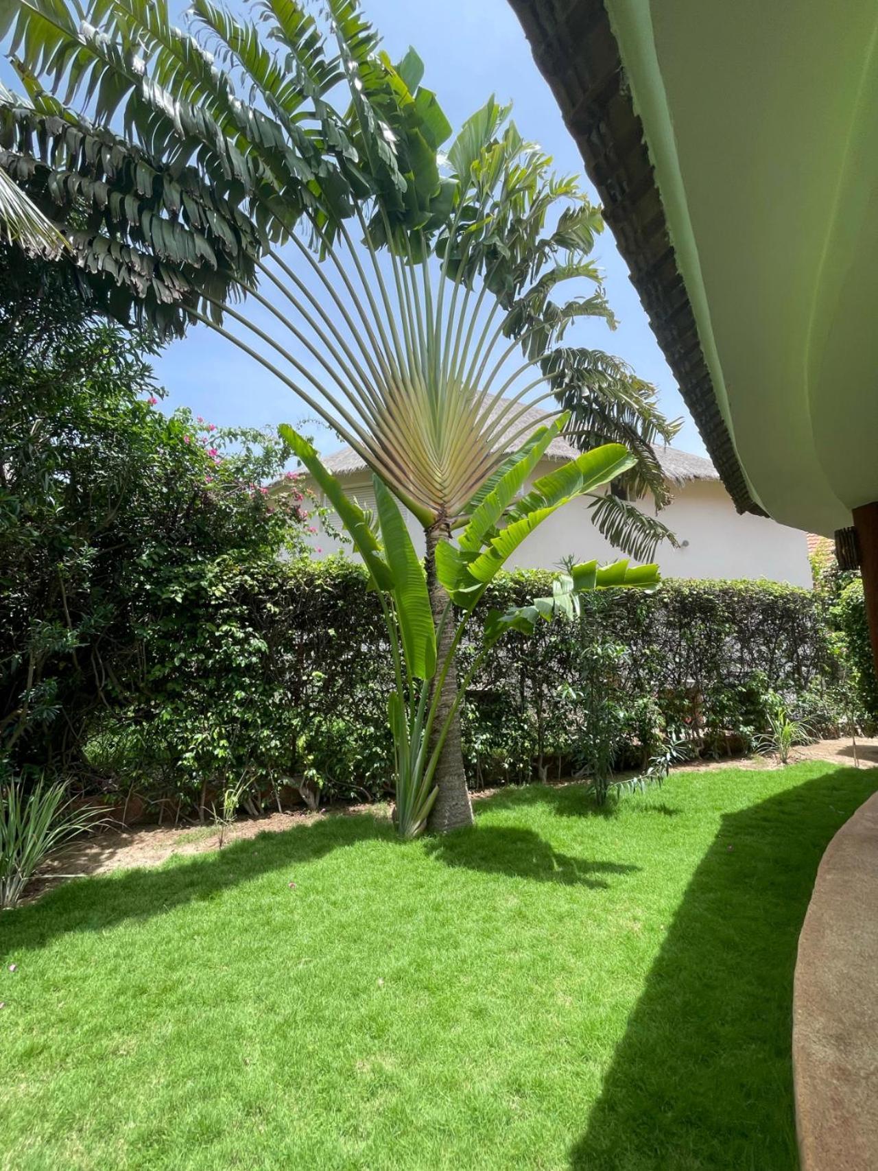Agence Adjana Resort - Residence Du Port 3 Sali Tapé 外观 照片