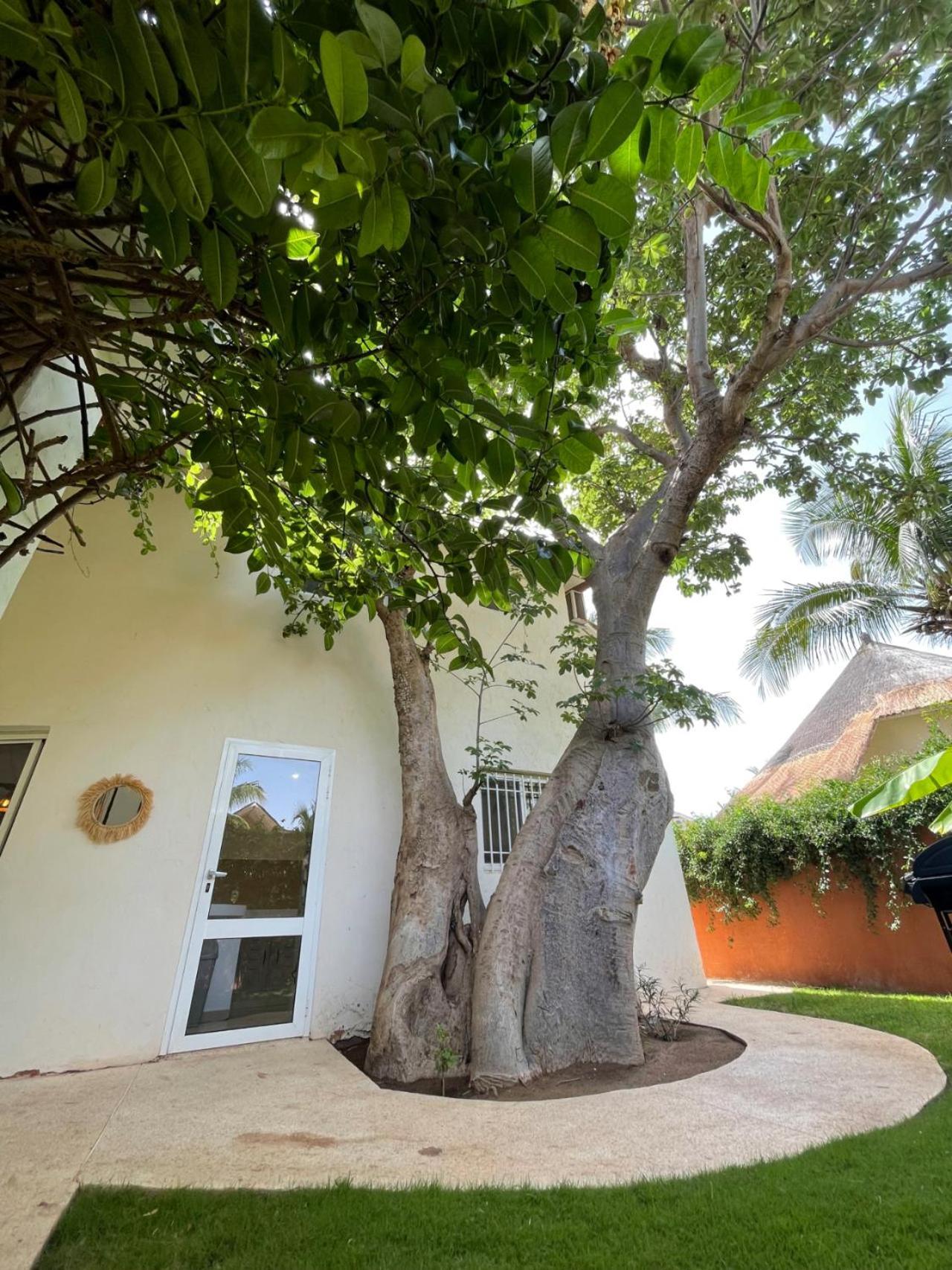 Agence Adjana Resort - Residence Du Port 3 Sali Tapé 外观 照片